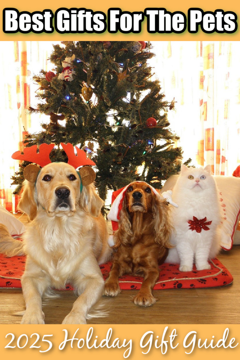 Best Gifts For The Pets - 2025 Holiday Gift Guide.