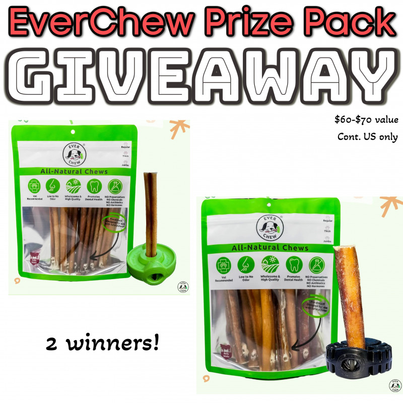 EverChew SafetyChew Bully Stick Holders Review + Giveaway .