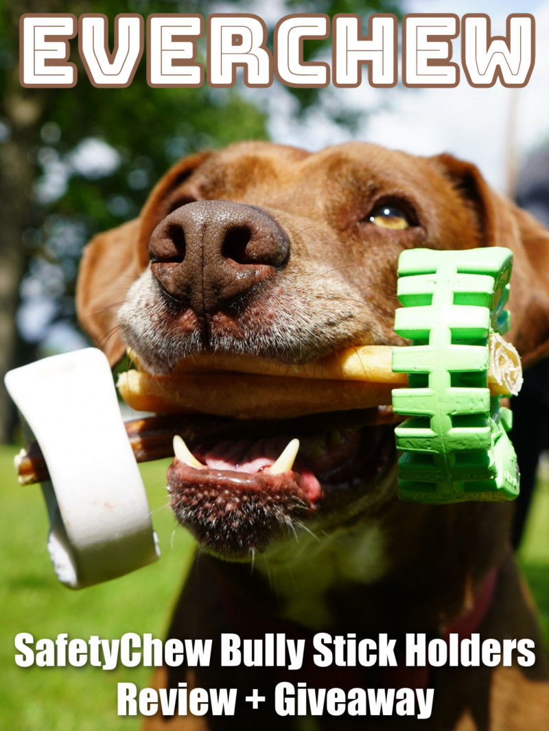 EverChew SafetyChew Bully Stick Holders Review + Giveaway.