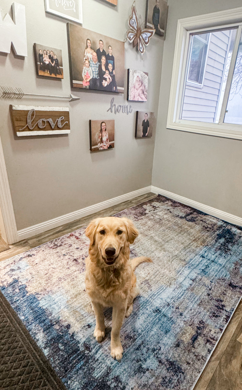 Rugs.com - The Gift That Enhances Any Space + Giveaway!