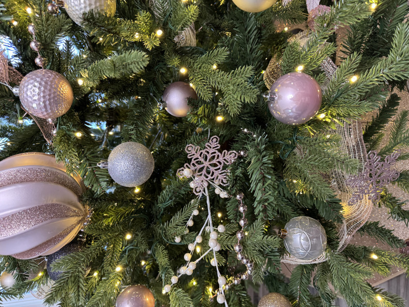 King of Christmas scarlet fir branches