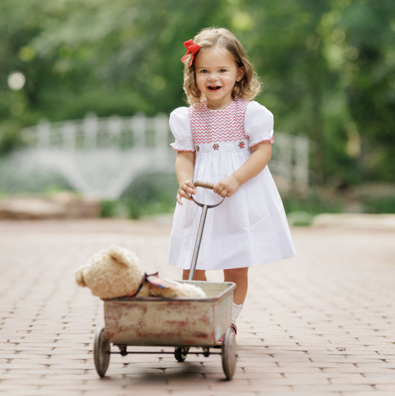 Feltman Brothers Girls Holiday Garden Dress.