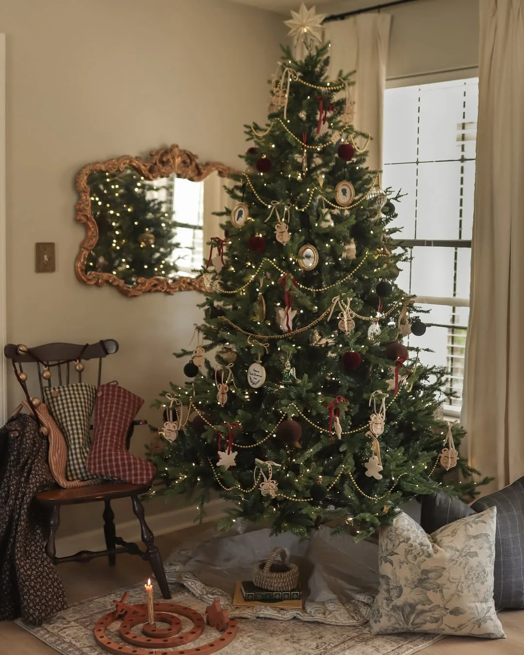 king of Christmas scarlet fir