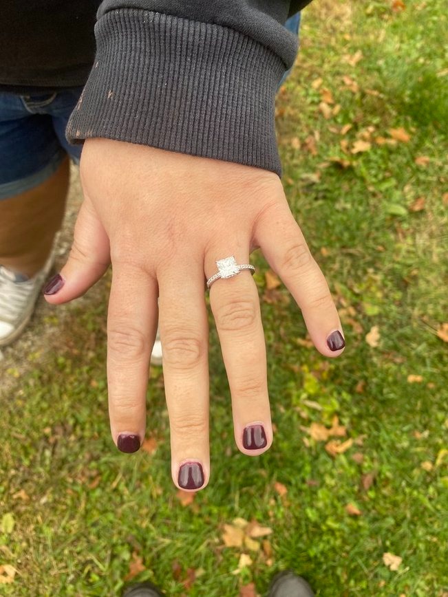 Princess Cut Moissanite Ring with Pavé Band