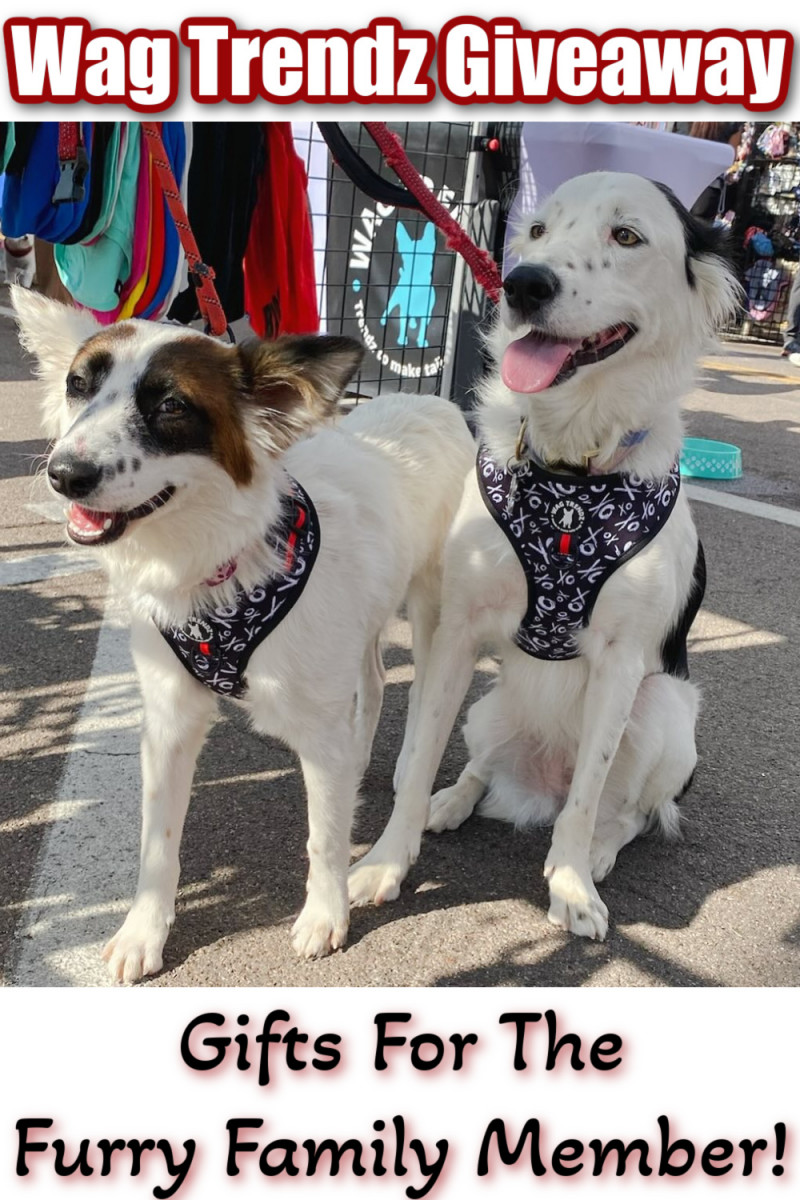 Wag Trendz Giveaway - Gifts For The Furry Family Member!