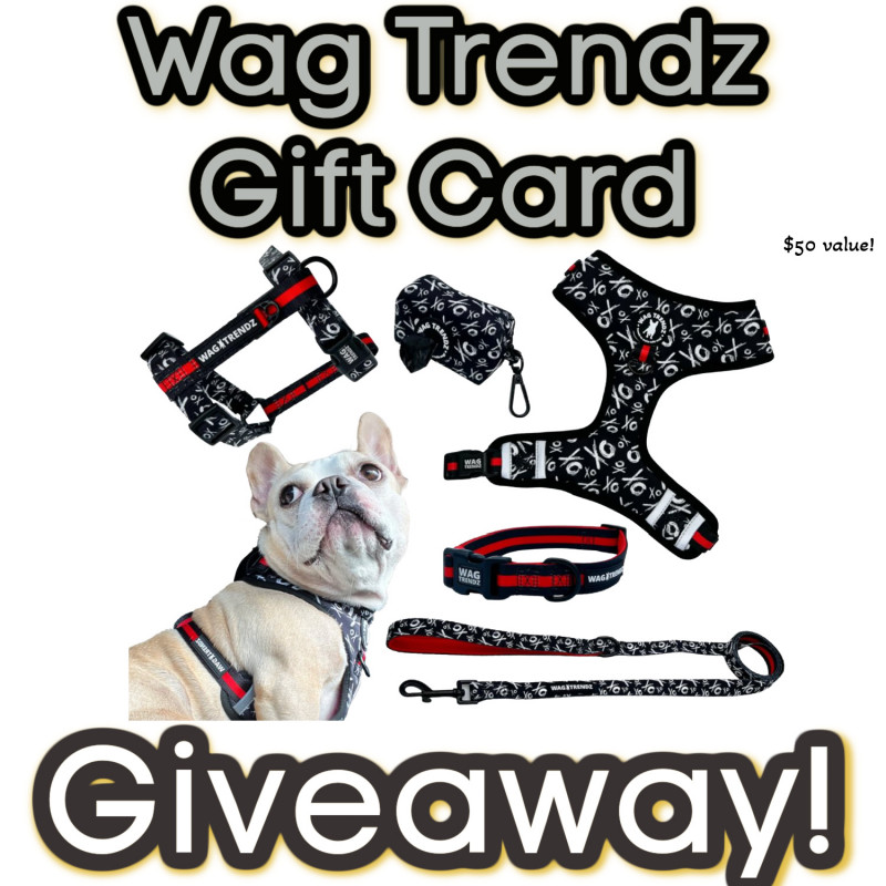 Wag Trendz Giveaway - Gifts For The Furry Family Member!