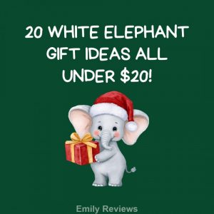 20 Under $20: Unwrap the Laughter in Your Ultimate White Elephant Gift