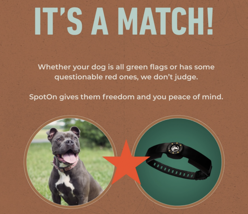 SpotOn GPS Fence Review - The Nova Edition.