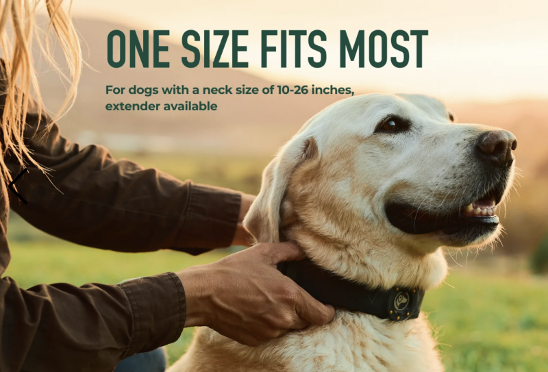 SpotOn GPS Fence Review - The Nova Edition.