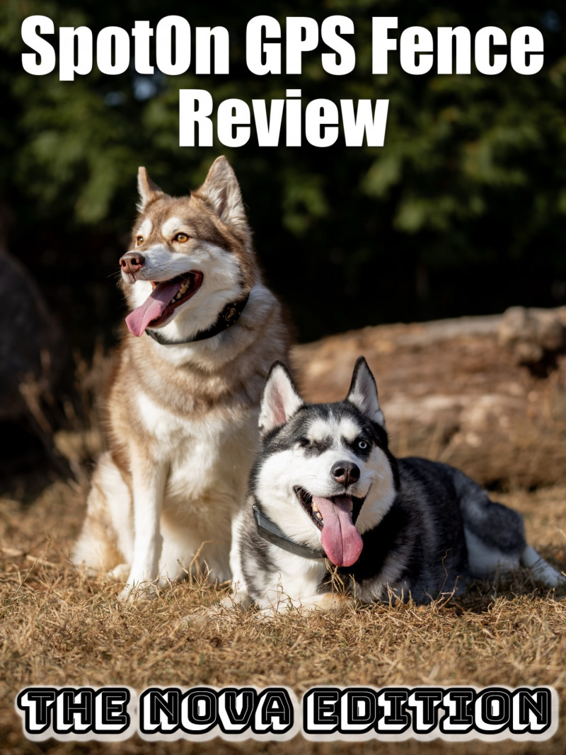 SpotOn GPS Fence Review - The Nova Edition.