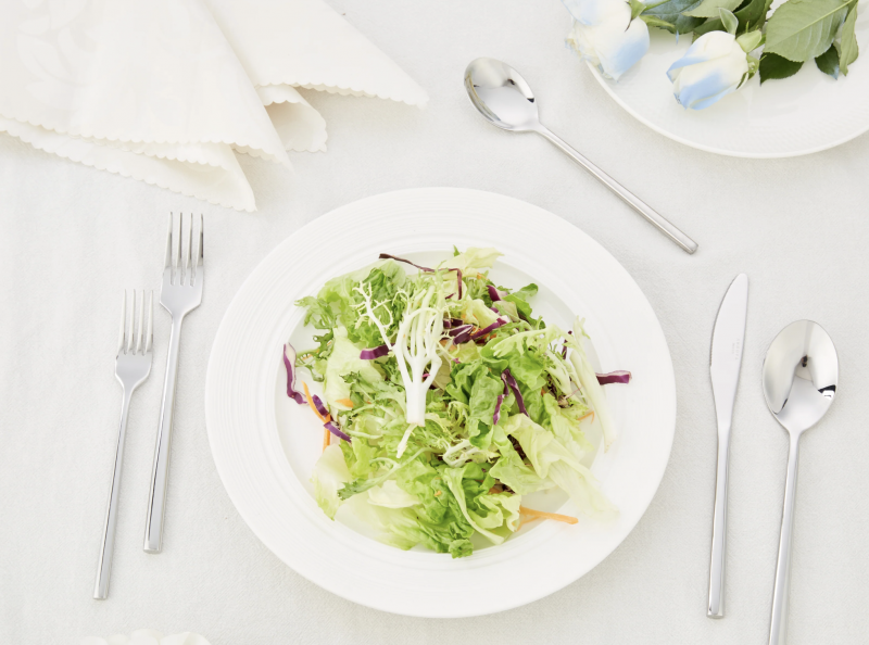 ANNOVA 24 Piece Silverware Set Modern Forged Premium Stainless Steel Handle