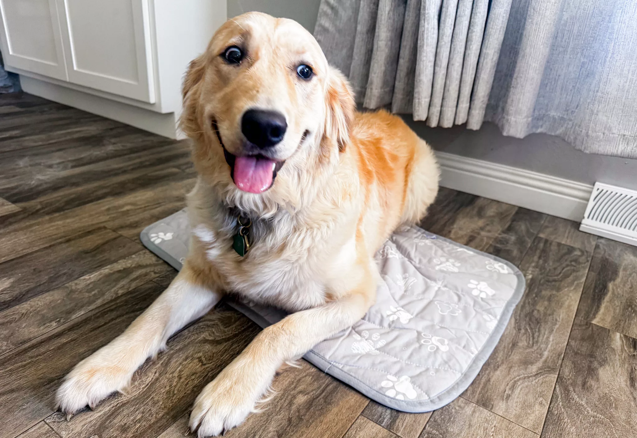 Rywell Super-Absorbent Cooling Mat for Dogs.