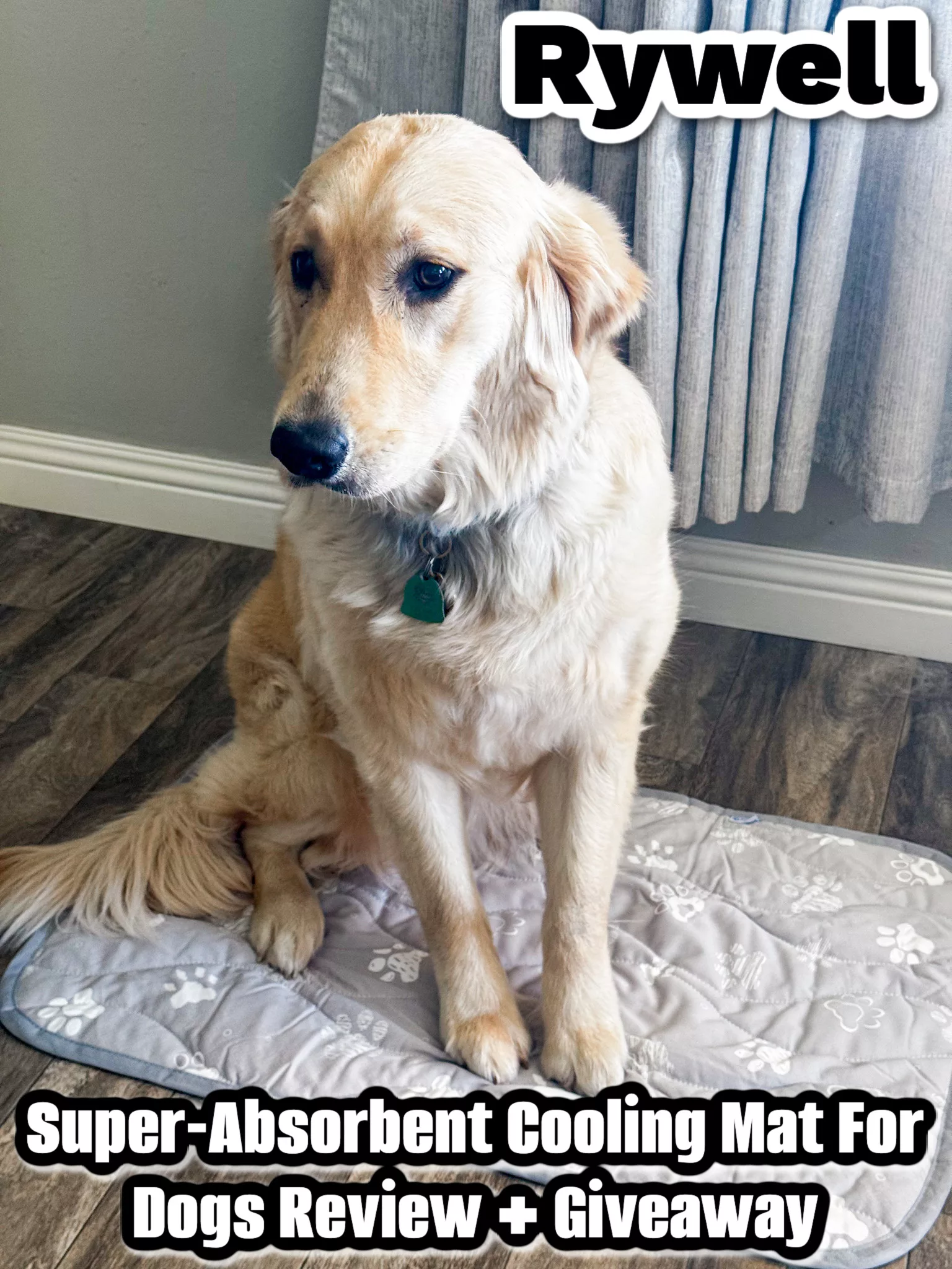 Super-Absorbent Cooling Mat For Dogs Review + Giveaway.