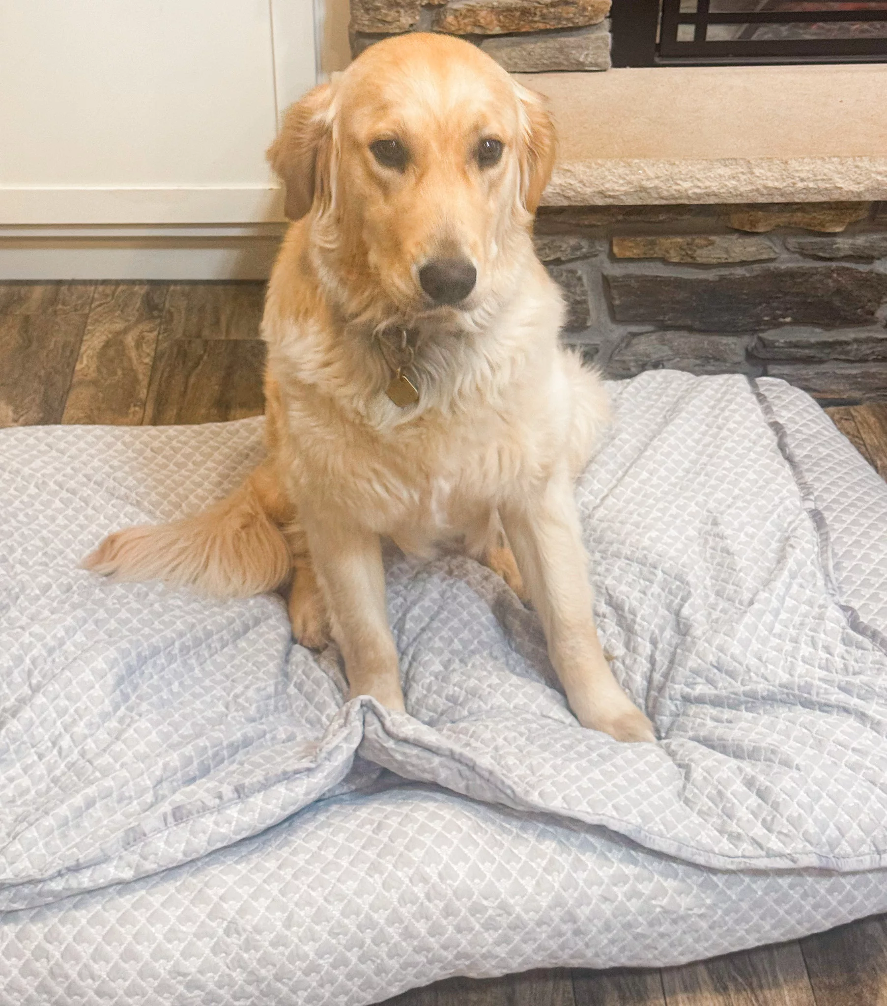 Rywell 3-in-1 Cooling Dog Bed Review & Giveaway.
