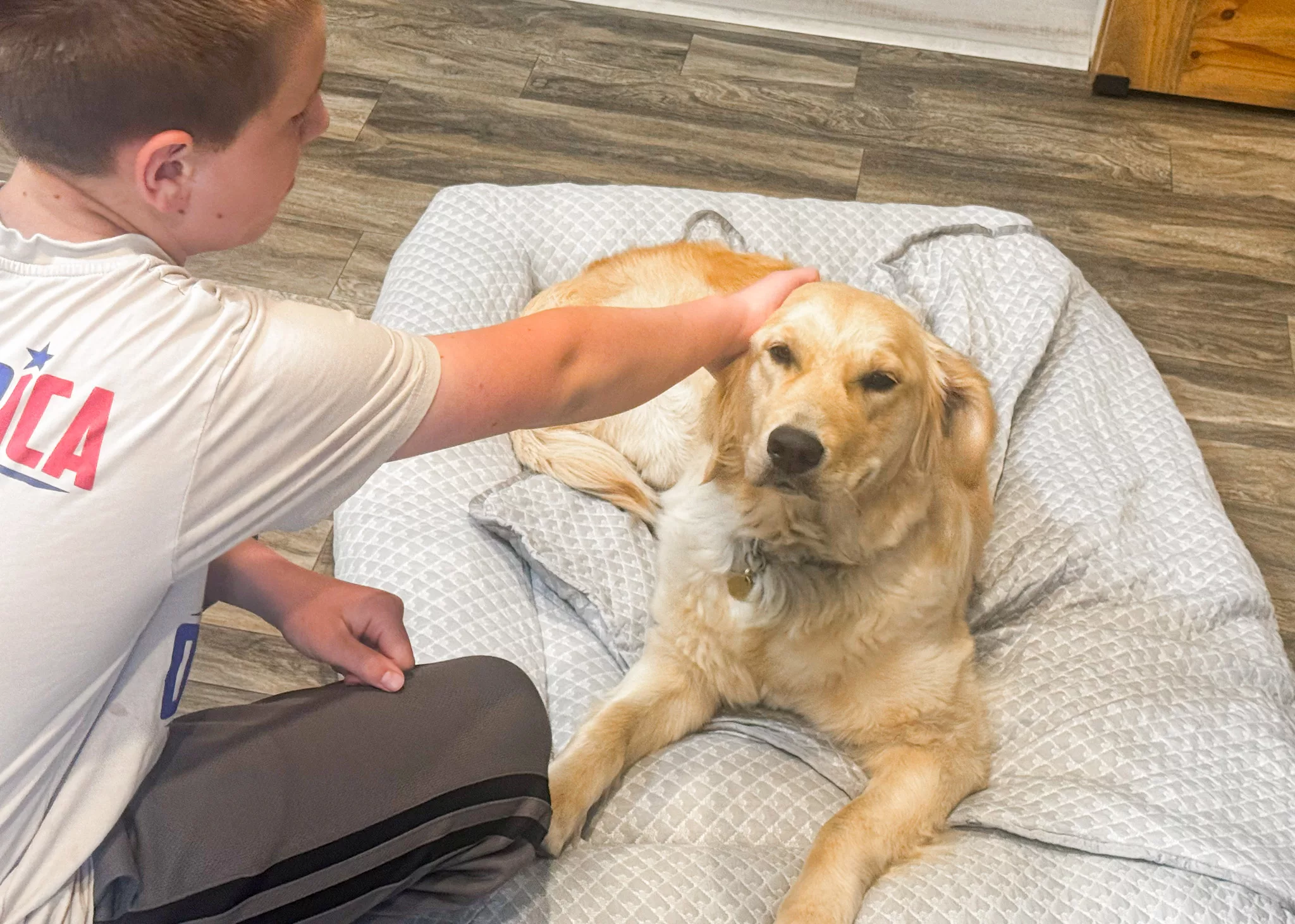 Rywell 3-in-1 Cooling Dog Bed Review & Giveaway.