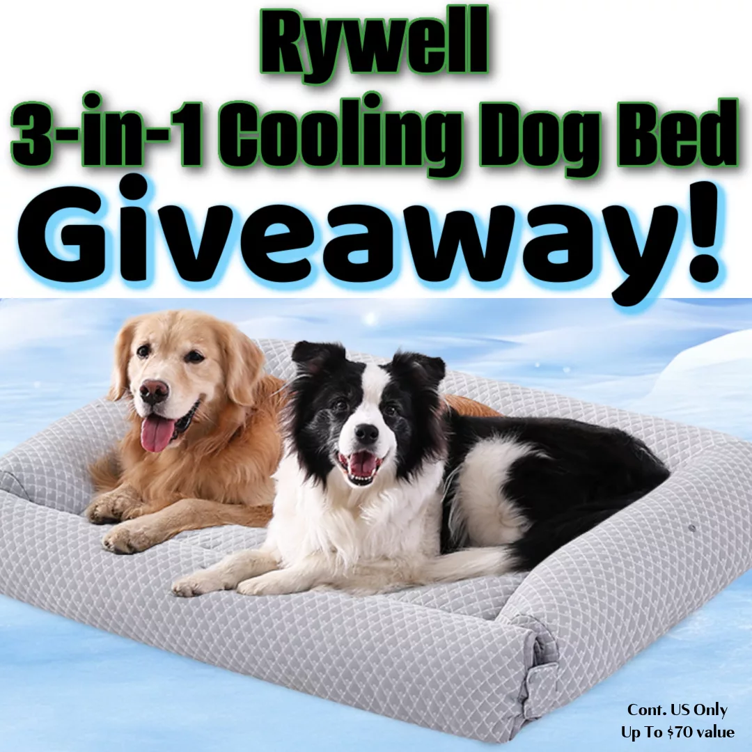 Rywell 3-in-1 Cooling Dog Bed Review & Giveaway.