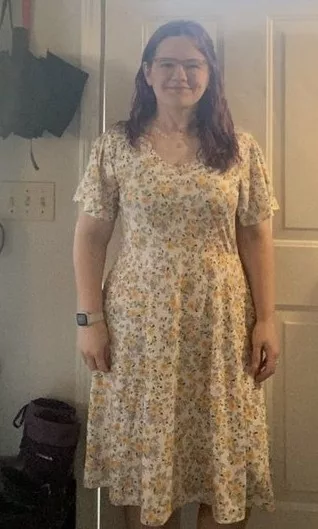 zeagoo swing dress
