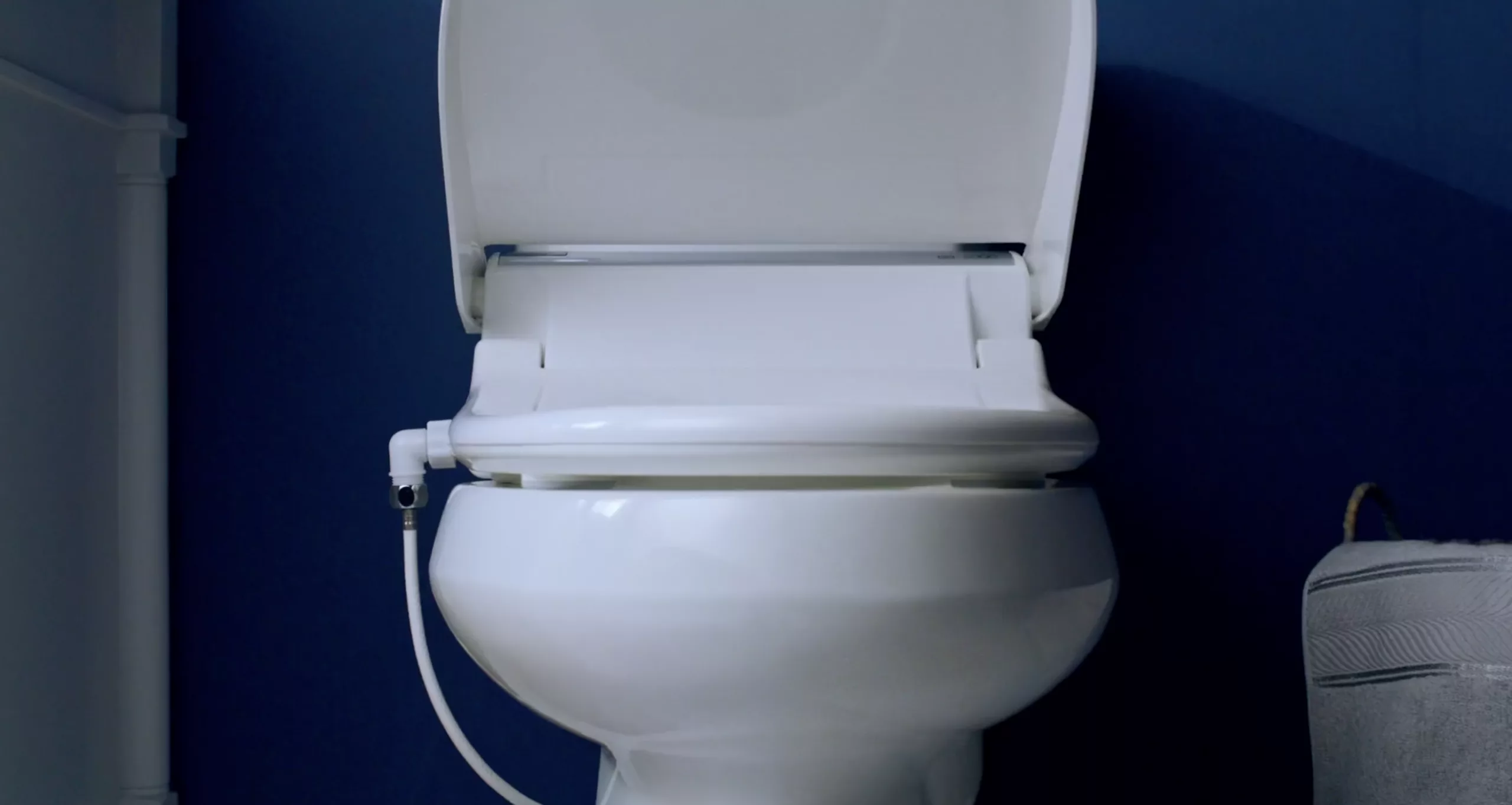 Bio Bidet BB-2000: A Bathroom Upgrade You Didn't Know You Needed (TILL NOW!).