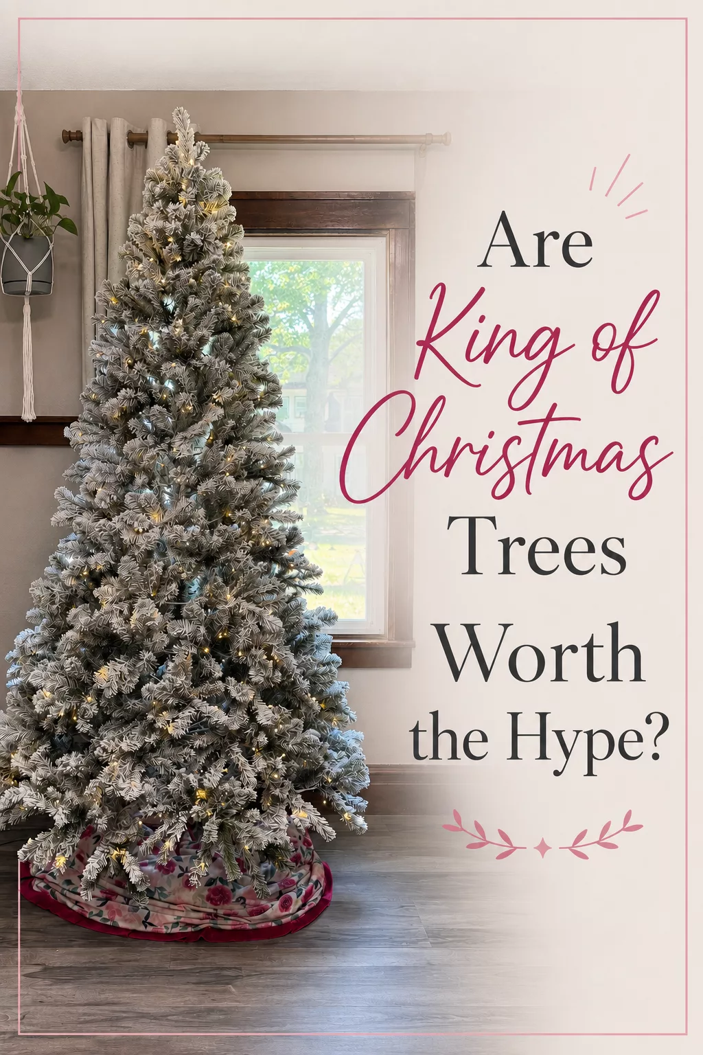 King of Christmas trees