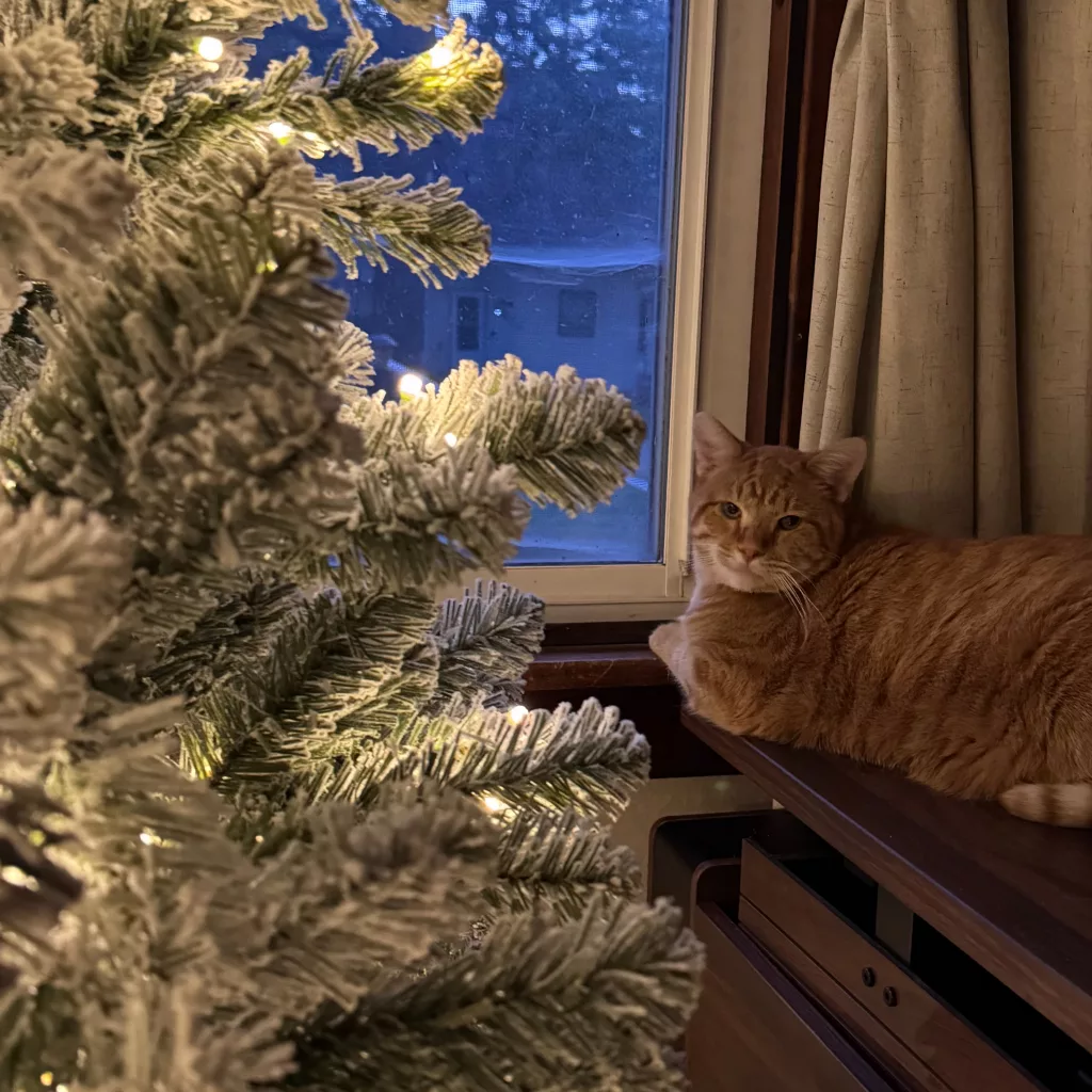 Christmas in July - King of Christmas Review and Christmas Tree Discount! King of Christmas 8' Prince Flock tree