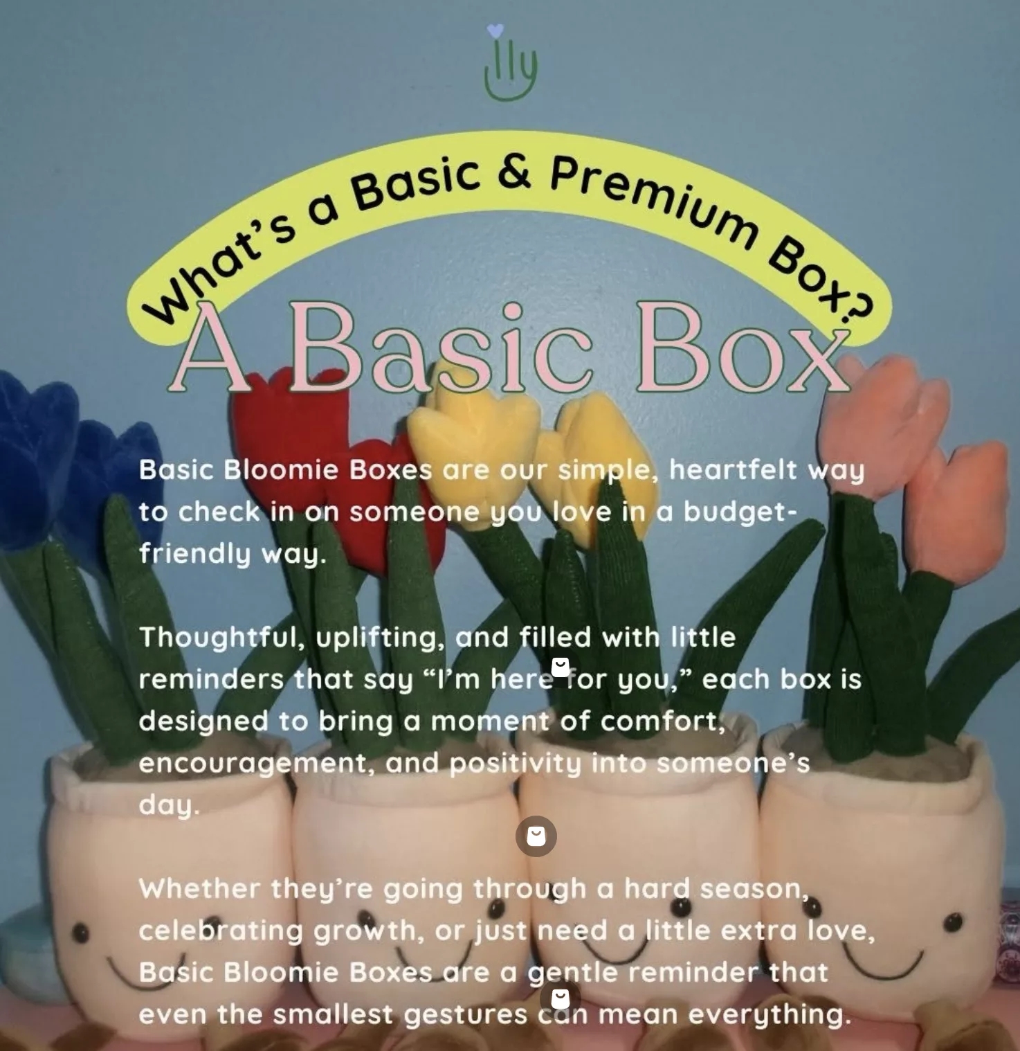The ILY Company Bloomie Box Giveaway + Discount.