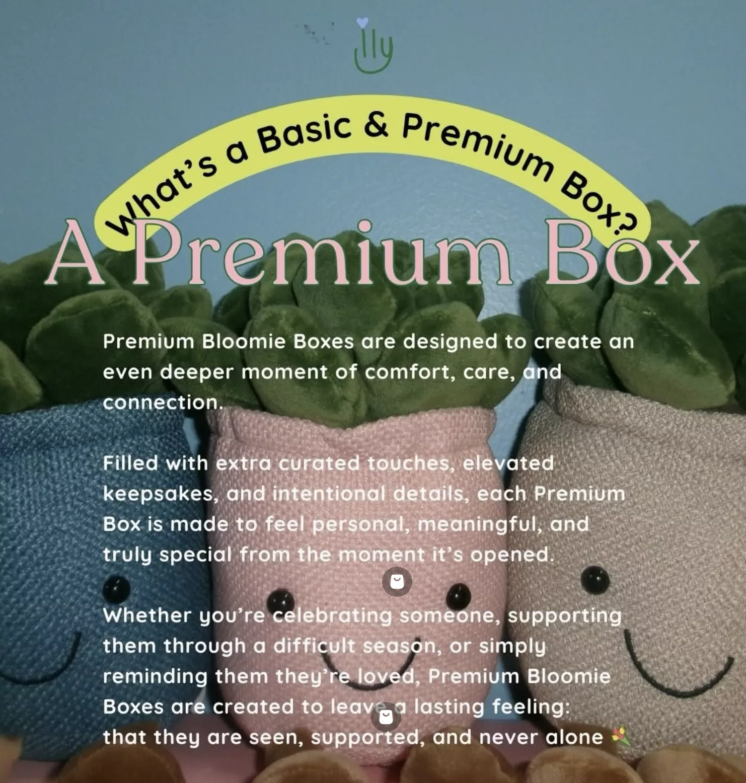 The ILY Company Bloomie Box Giveaway + Discount.