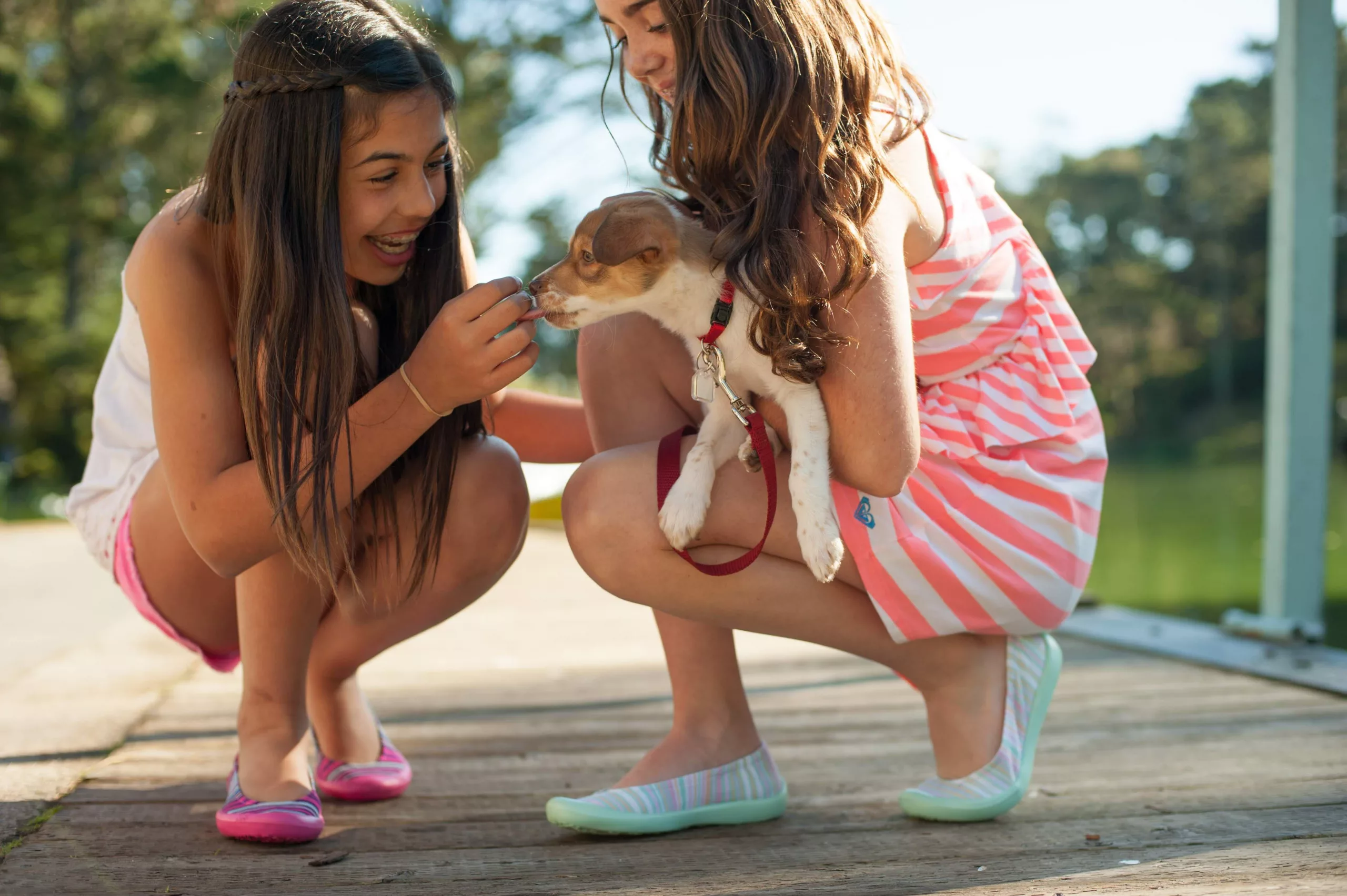 Ditch The iPad & Grab These Fun Interactive And Entertaining Toys Instead!