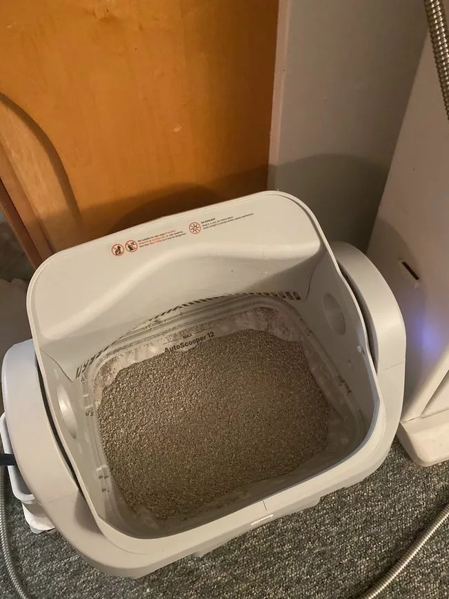 PetPivot 12 auto scooping litter box
