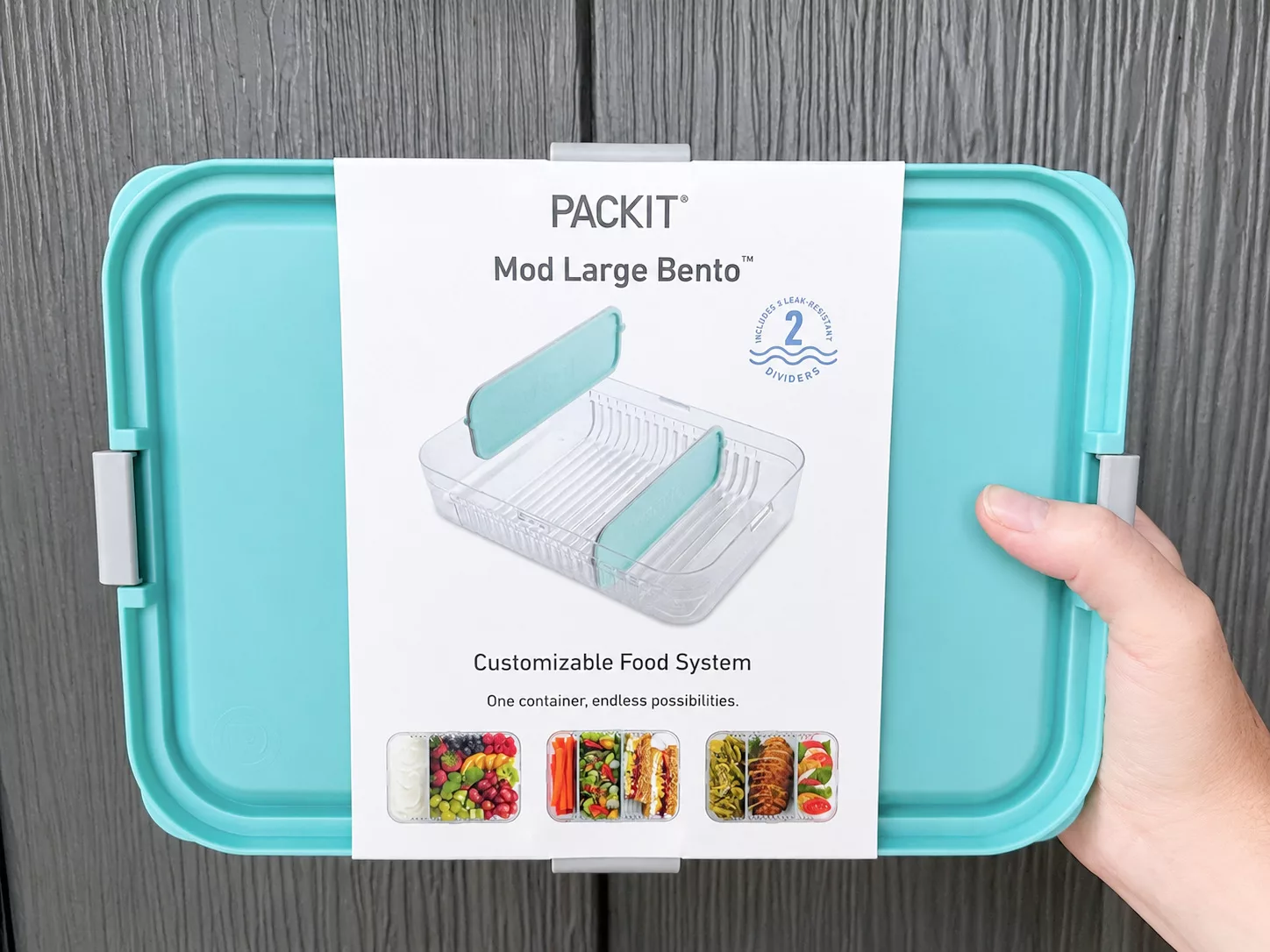 PackIt Mod Large Bento Food Storage Container.