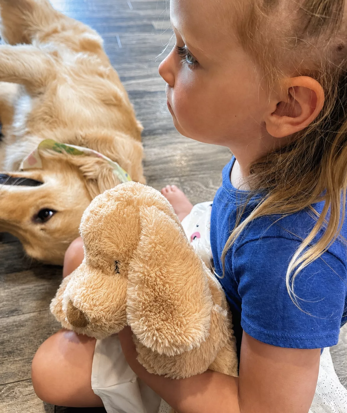 Celebrate National Dog Day: 5 Adorable Gifts for Kids Who Love Dogs.