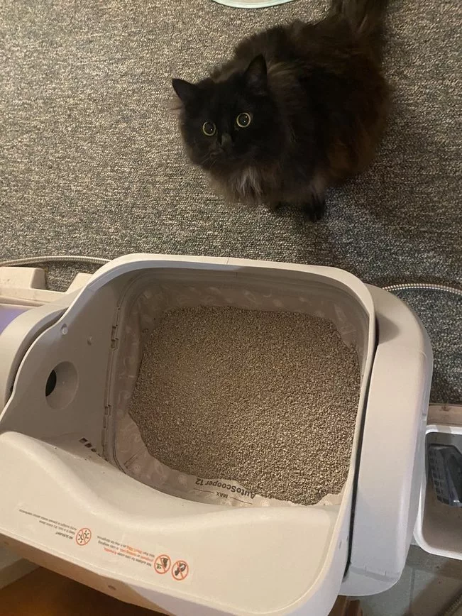 PetPivot auto scooper 12
