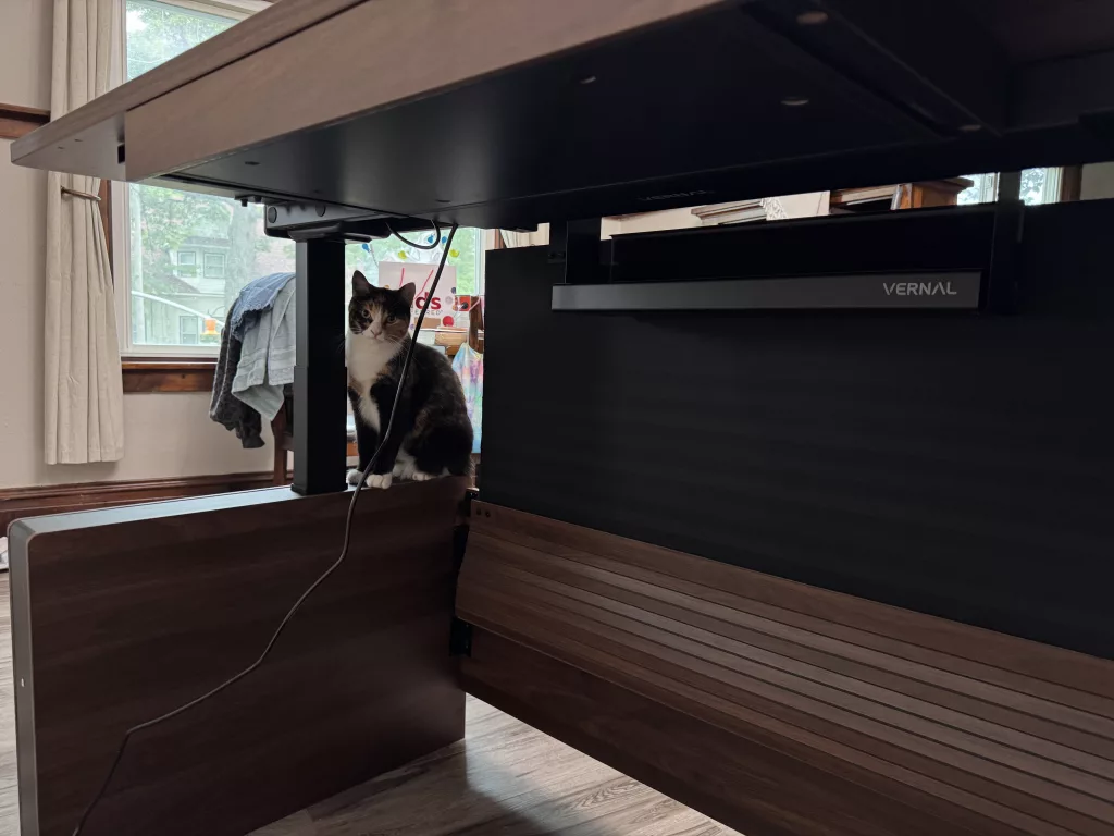 executive desk back