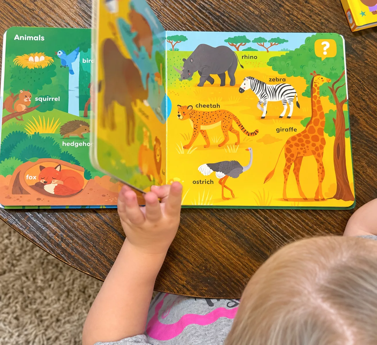 Tappi Starter Set Review: A Screen-Free Interactive Reading System For Ages 2–6.