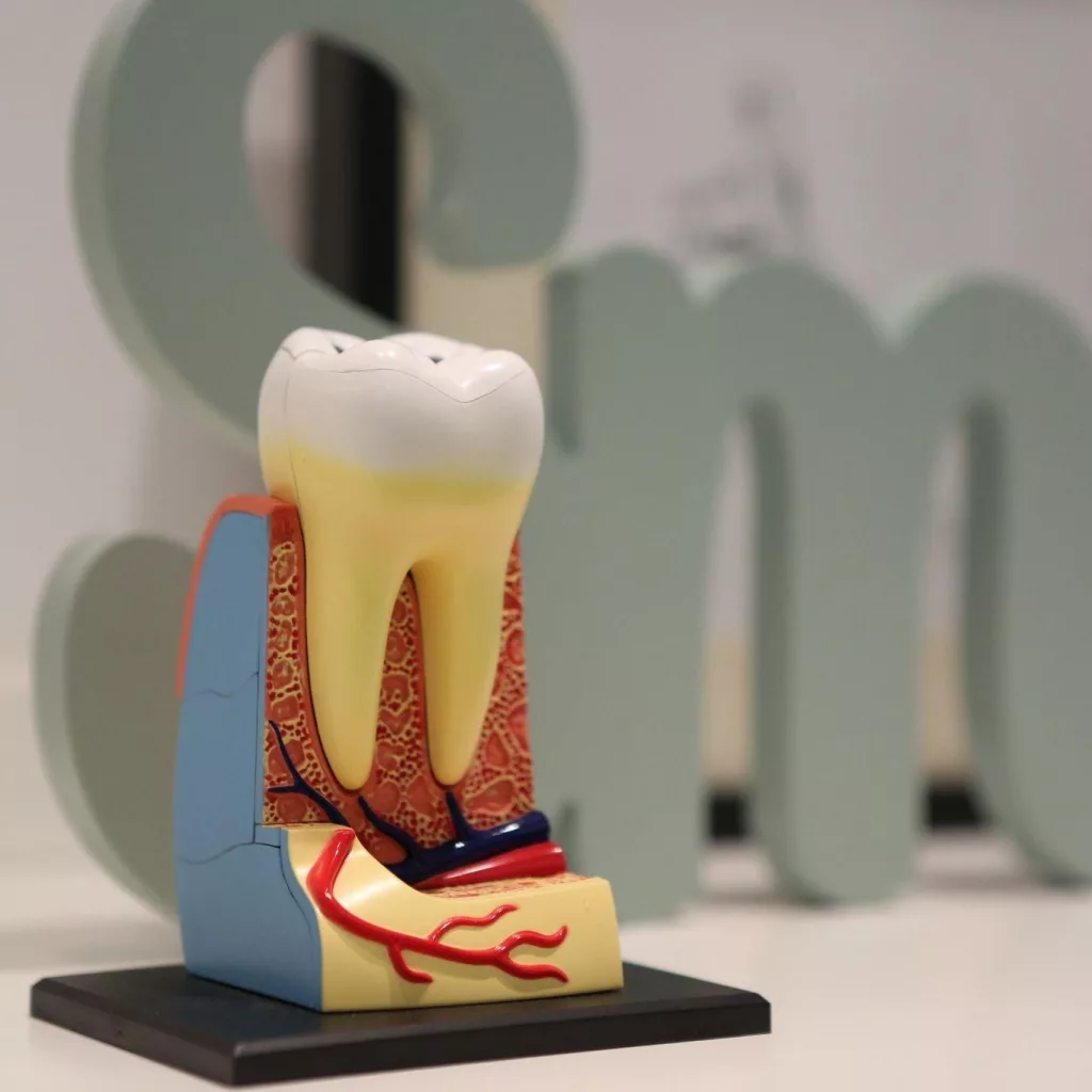Why Baby Teeth Falling Out Early (or Late) Isn't Always a Problem Untitled (14)